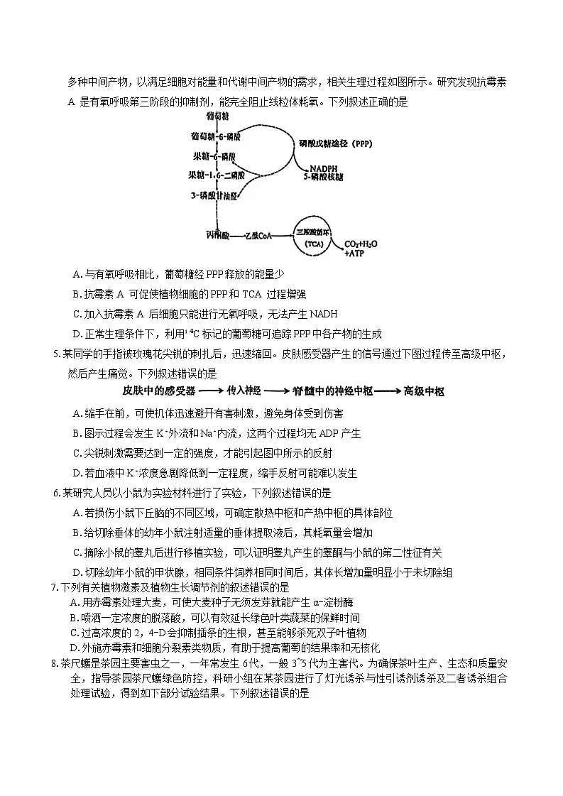 安徽省池州市普通高三2025届高三下学期教学质量统一监测（二模）生物学试题（有答案）第2页