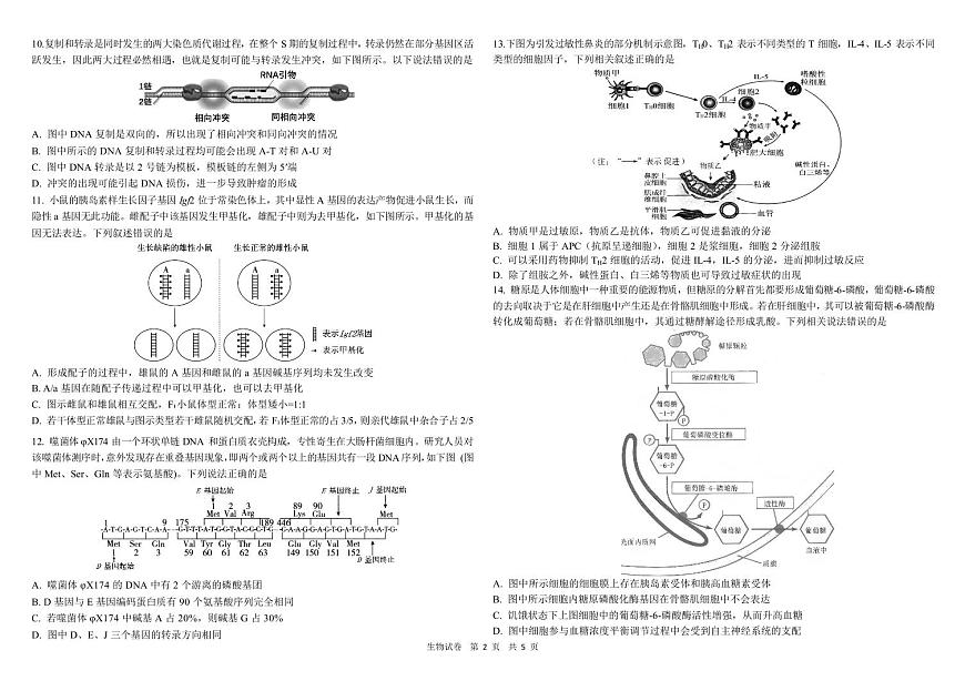 生物二模B4第2页