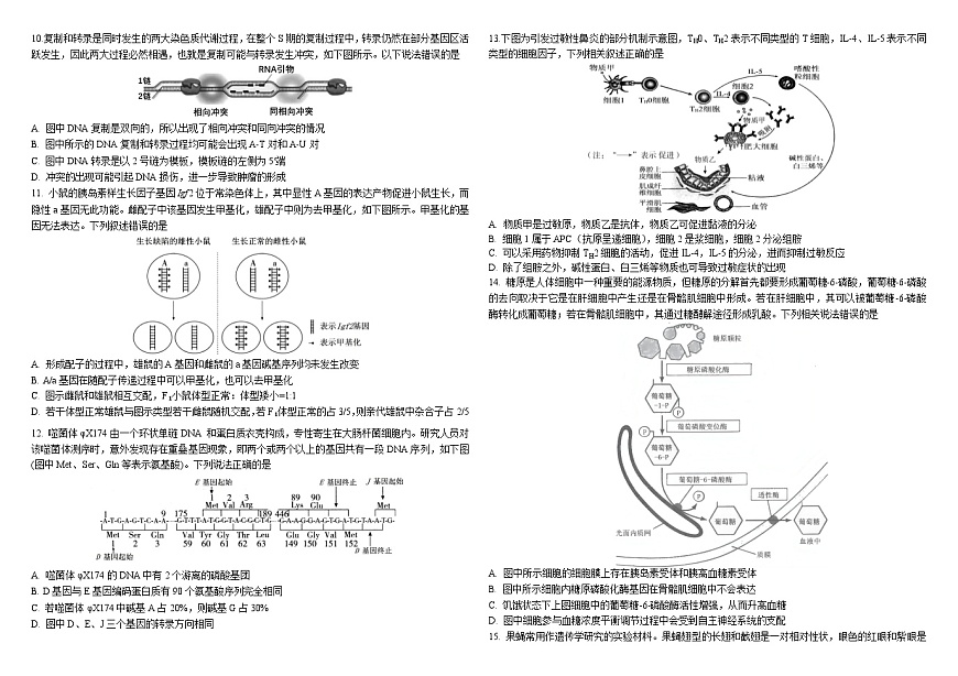 生物二模B4第2页