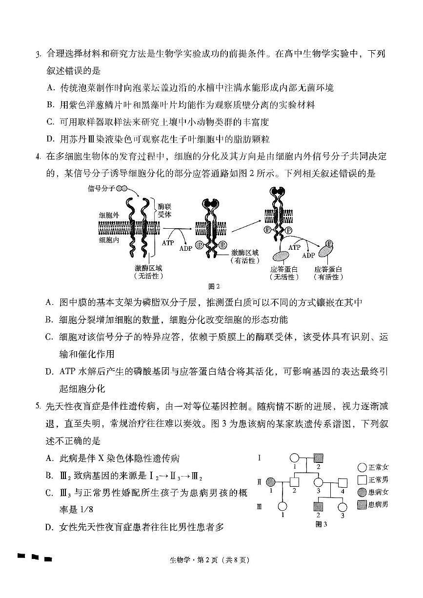 贵州省贵阳市七校2025届高三下学期联合考试（三）生物+答案第2页