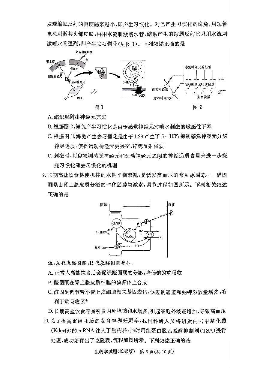 2024届湖南省长郡中学高三月考试卷（一）-生物试题（含答案）第3页