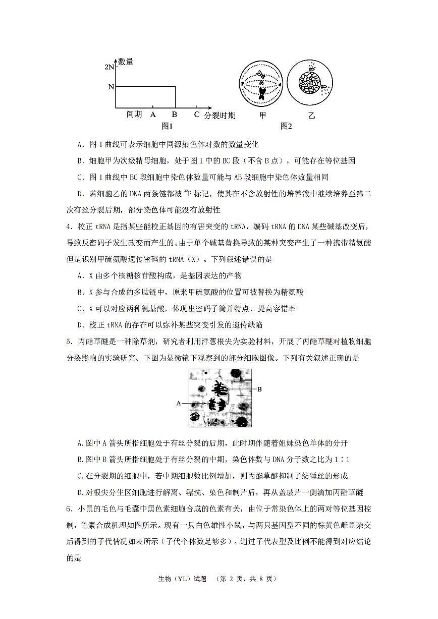 2024届湖南省长沙市雅礼中学高三3月综合测试（一）-生物试卷（含答案）第2页