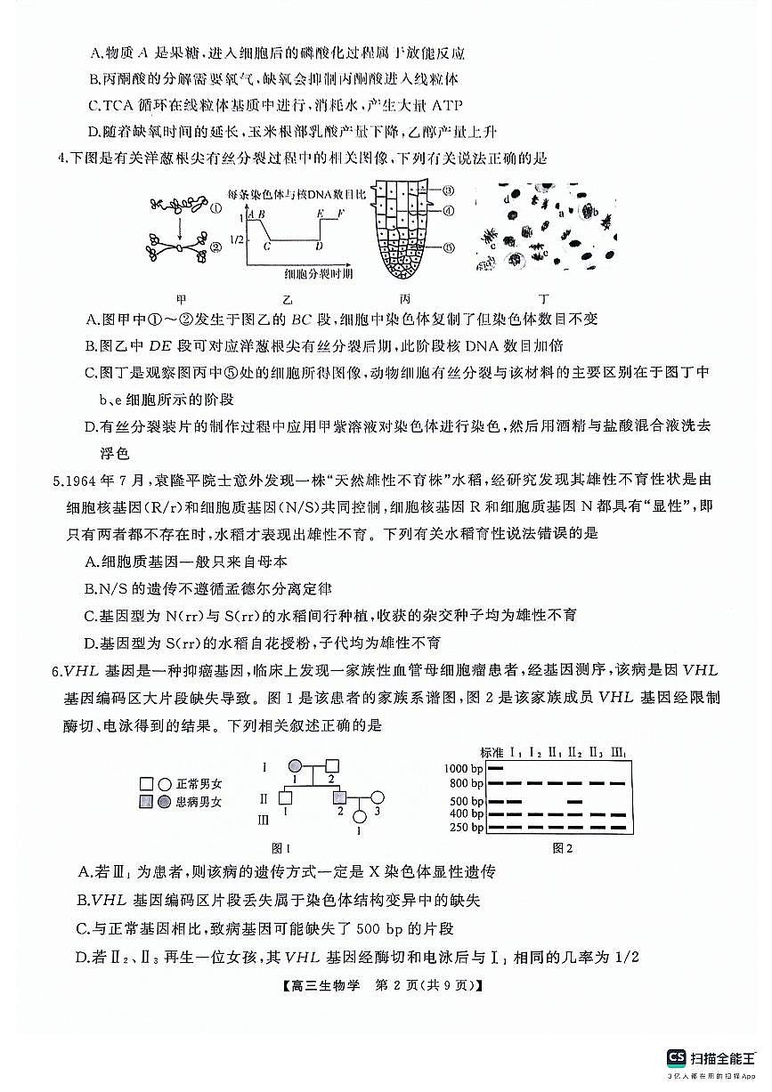 2024届湖南天壹名校联盟高三5月适应考-生物试卷（含答案）第2页