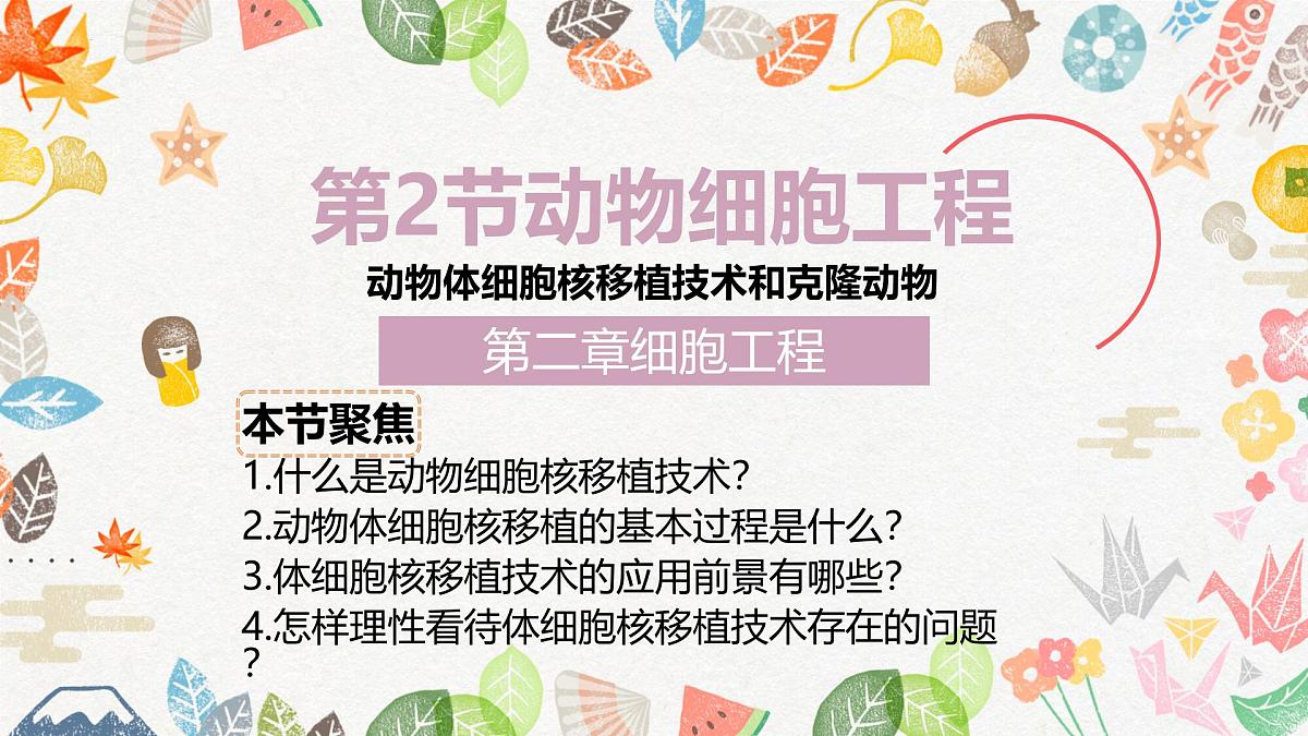 2.2 动物细胞工程（第3课时）-2024-2025学年高二生物优质课件（人教版2019选择性必修3）第1页