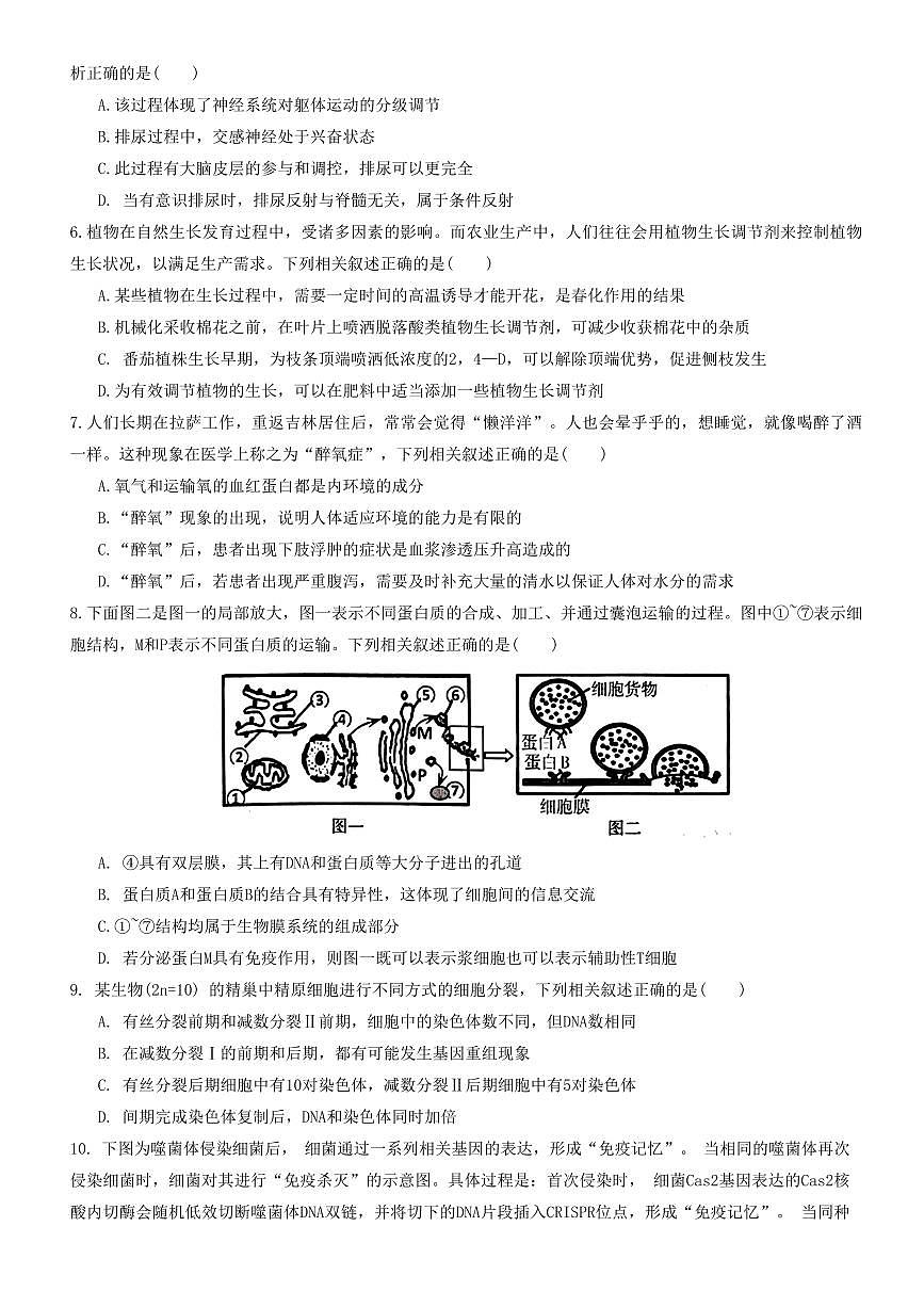 2024届吉林省白山市高三第一次模拟考试(1月)-生物试题（含答案）第2页