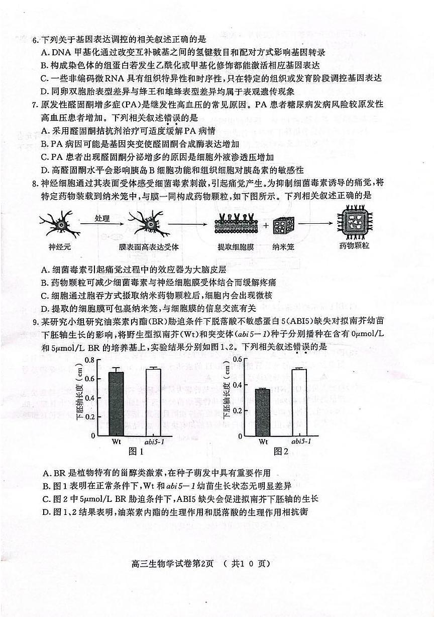 2024届江苏省南京、盐城高三一模考试（3月）-生物试卷（含答案）第2页