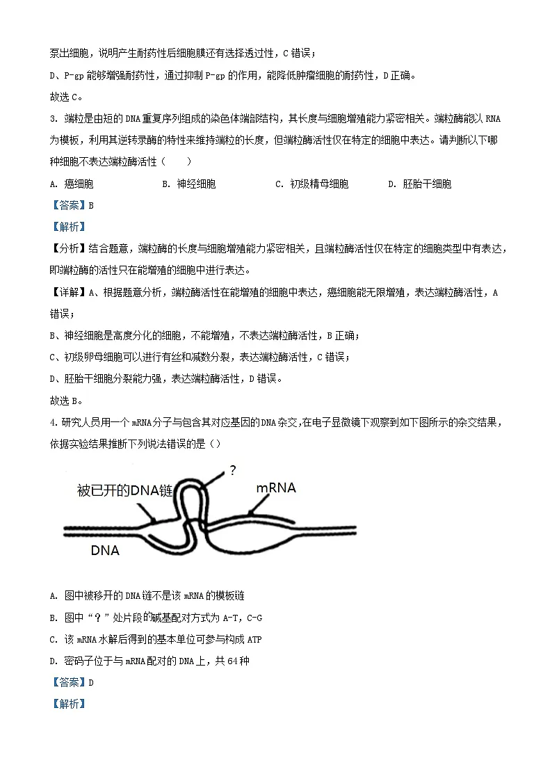 四川省成都市2024届高三生物下学期5月模拟考试理科综合试题含解析第2页