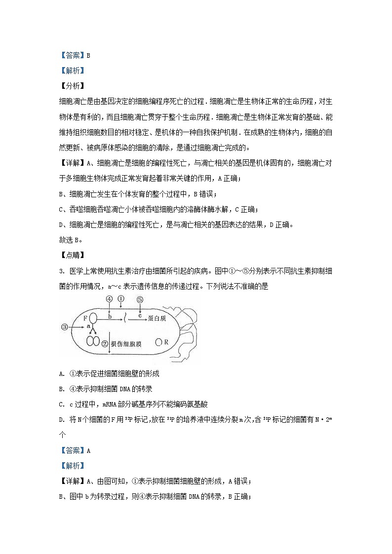 四川省成都市武侯区2023_2024学年高三生物下学期入学考试理综试题含解析第2页