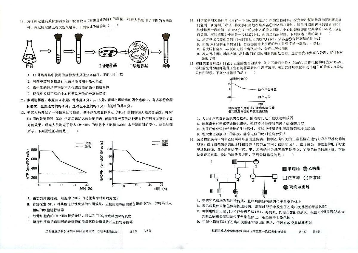 2024届江西省重点中学协作体高三第一次联考(2月)-生物试题（含答案）第2页