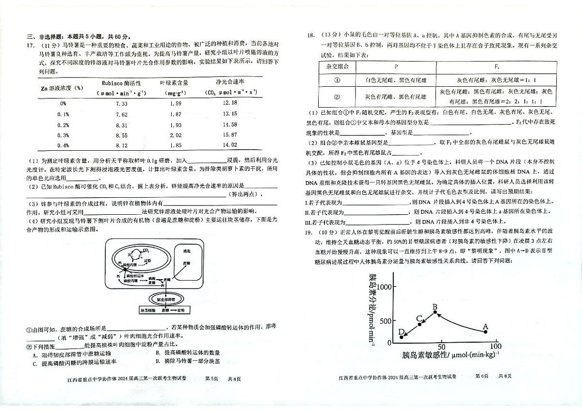 2024届江西省重点中学协作体高三第一次联考(2月)-生物试题（含答案）第3页