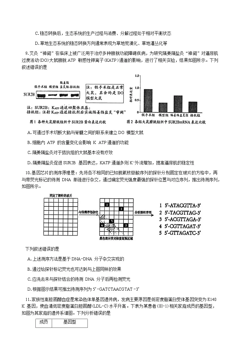 湖南省岳阳市2024-2025学年高三下学期教学质量监测（二）生物学试题第3页