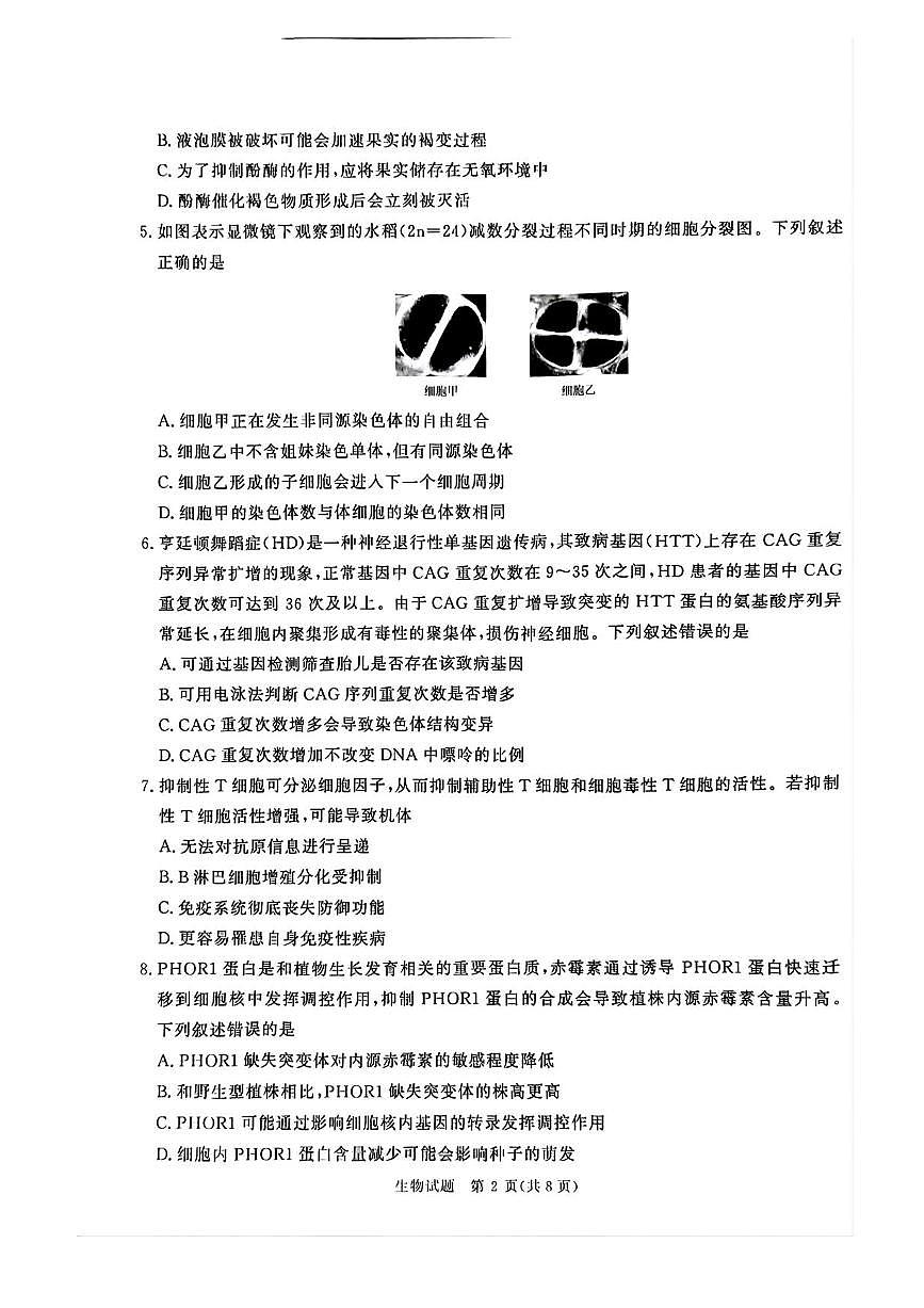 2025届河南省青桐鸣高三下学期4月高考大联考生物试题及答案第2页