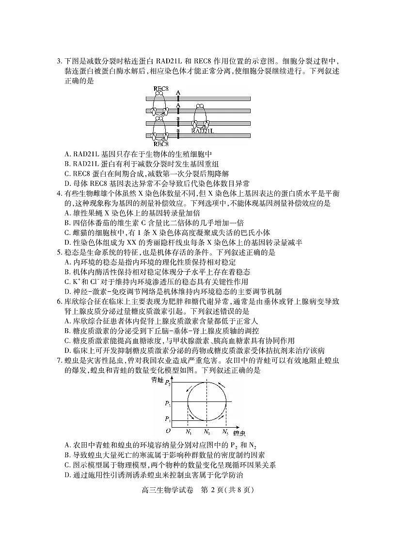 湖北省2025届高三（4月）调研模拟考试生物第2页