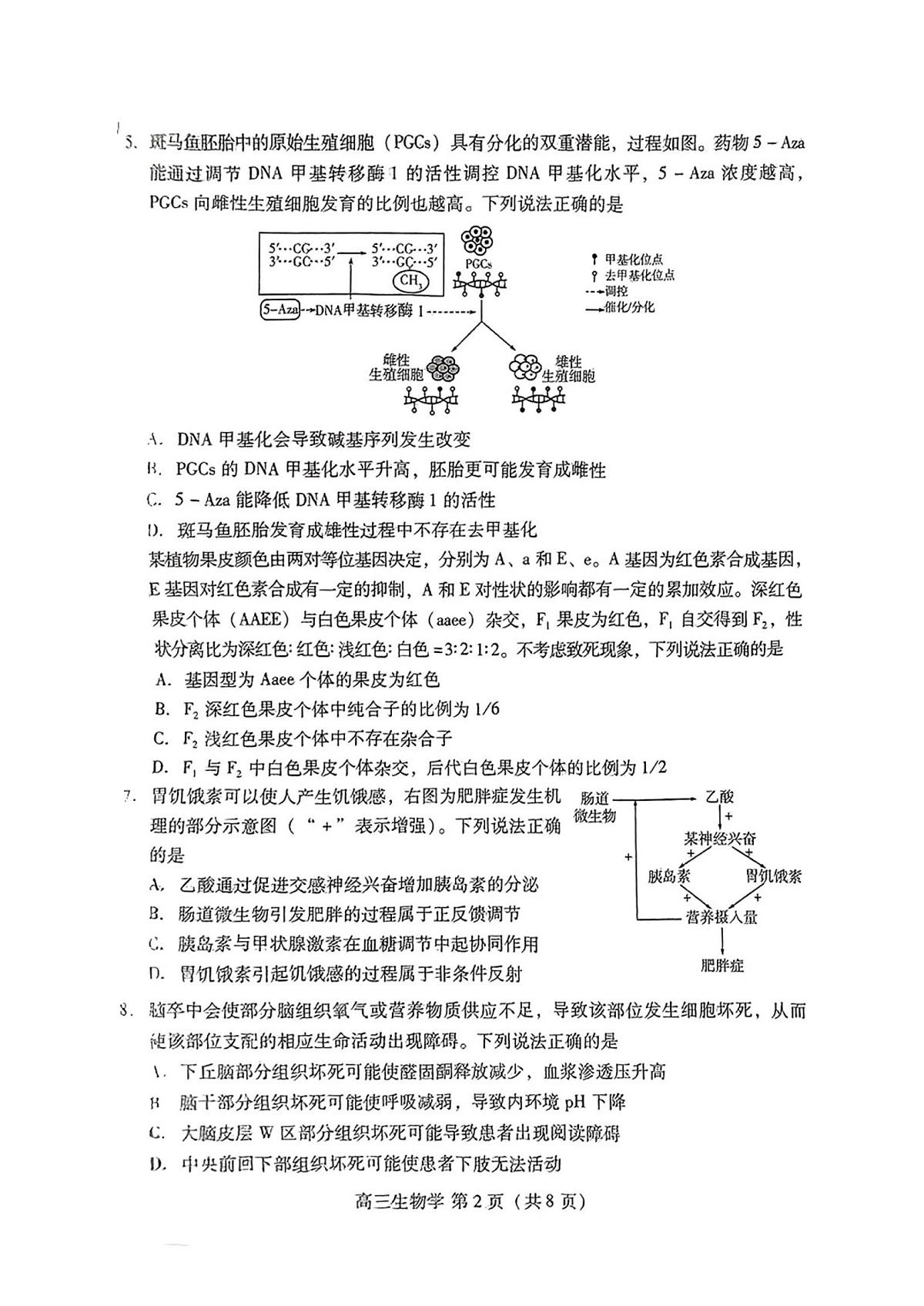 山东省潍坊市2025届高三下学期3月模拟考试生物试卷（含答案）第2页