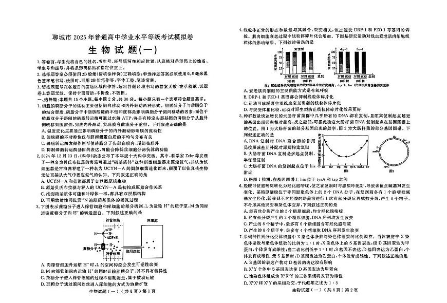山东省聊城市2025年普通高中学业水平等级考试模拟卷生物试卷（含答案）第1页