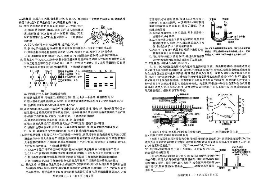山东省聊城市2025年普通高中学业水平等级考试模拟卷生物试卷（含答案）第3页