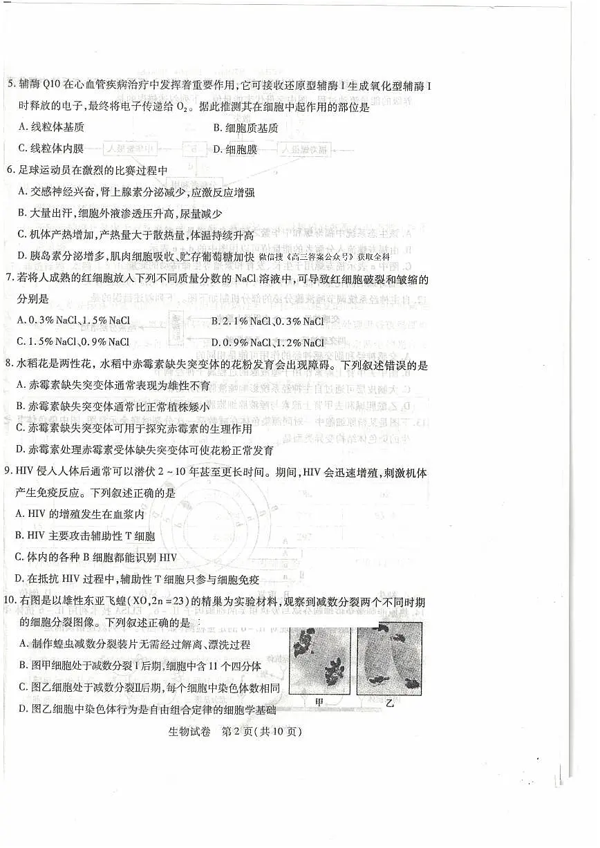黑龙江省包头市2025届高高考模拟第二次模拟-生物试题+答案第2页