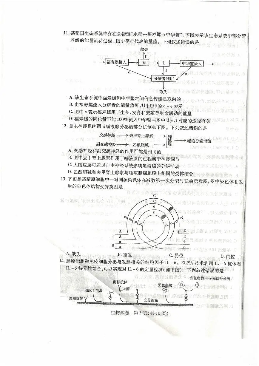 黑龙江省包头市2025届高高考模拟第二次模拟-生物试题+答案第3页