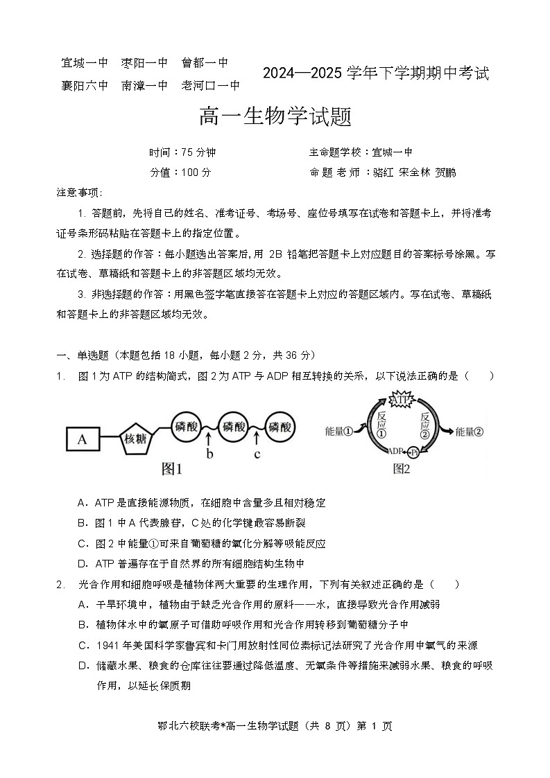 湖北省鄂北六校2024-2025学年度高一下学期期中联考生物试题第1页