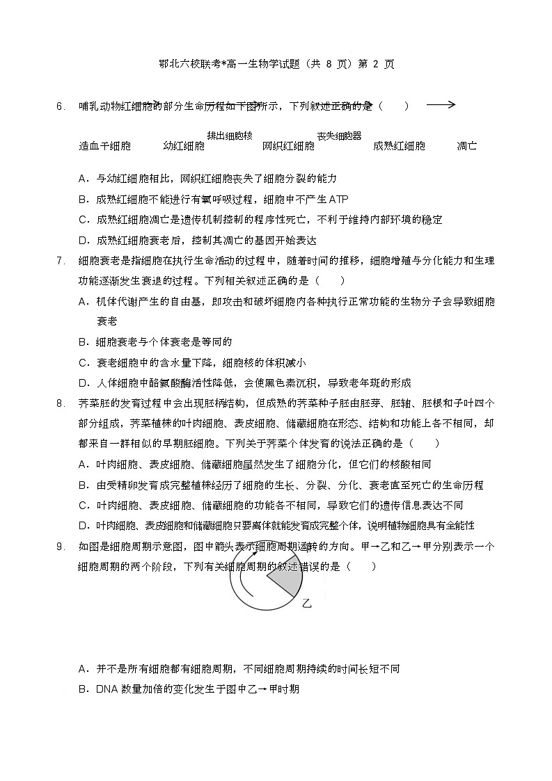 湖北省鄂北六校2024-2025学年度高一下学期期中联考生物试题第3页