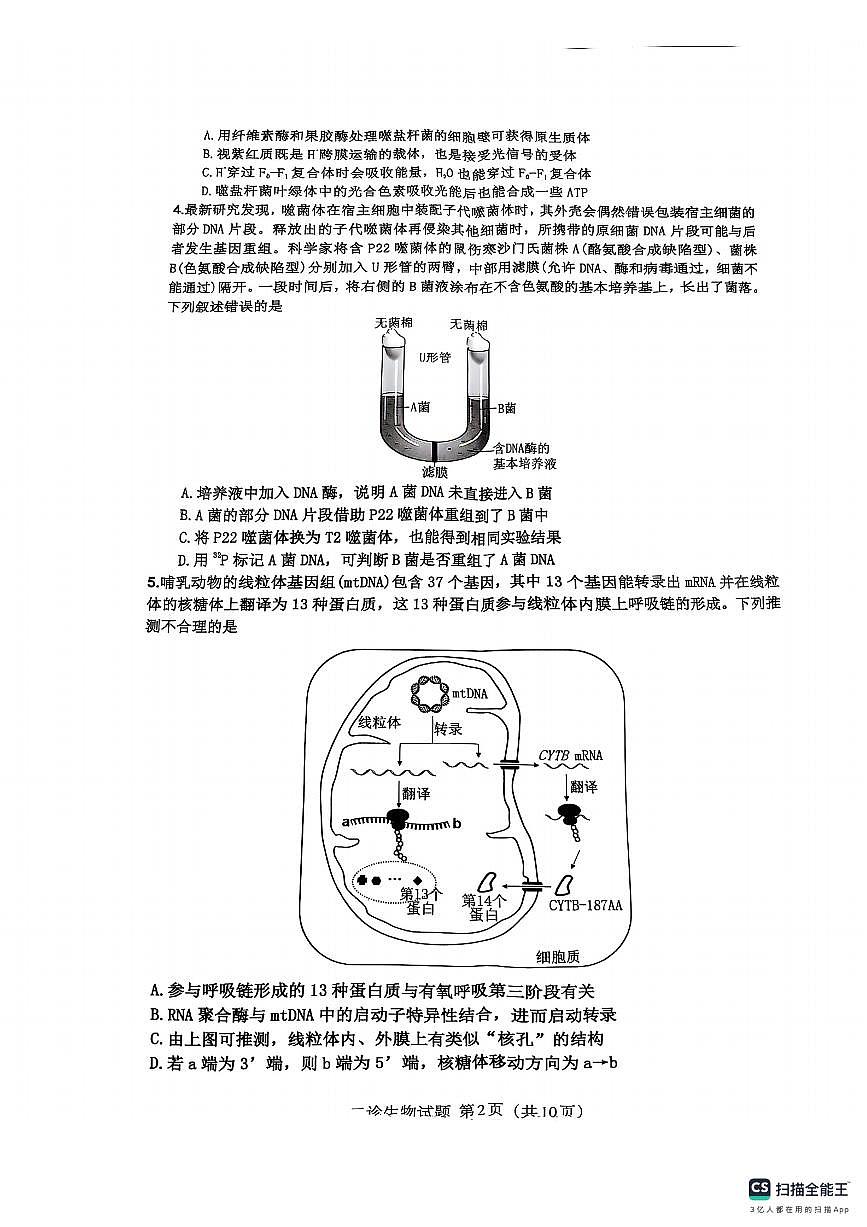 四川省达州市2025届高三高考模拟第二次诊断性考-生物试题+答案第2页