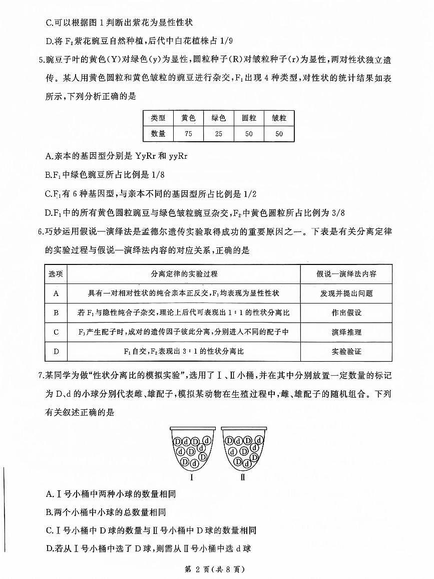 山东部分学校2024—2025学年高一下学期生物月考试题第2页