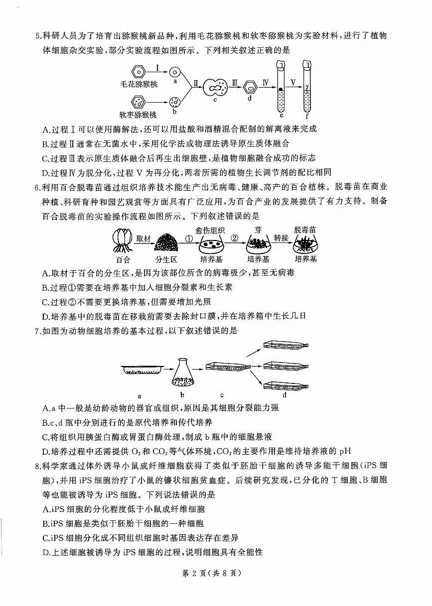 山东部分学校2024—2025学年高二生物月考试题第2页
