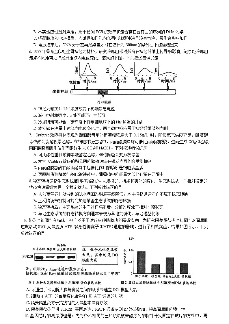 湖南省岳阳市2025届高三下学期二模试题 生物 含答案第2页