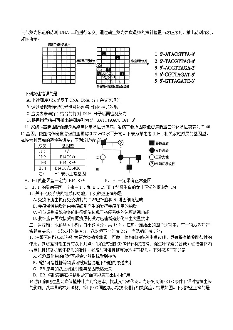 湖南省岳阳市2025届高三下学期二模试题 生物 含答案第3页