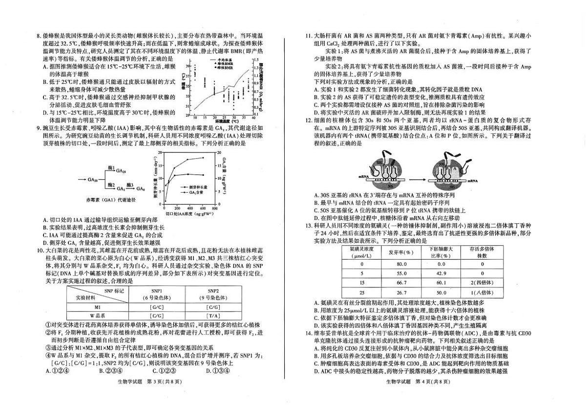 安徽省合肥市2025届高三第二次教学质量检测 生物试卷（含答案）第2页