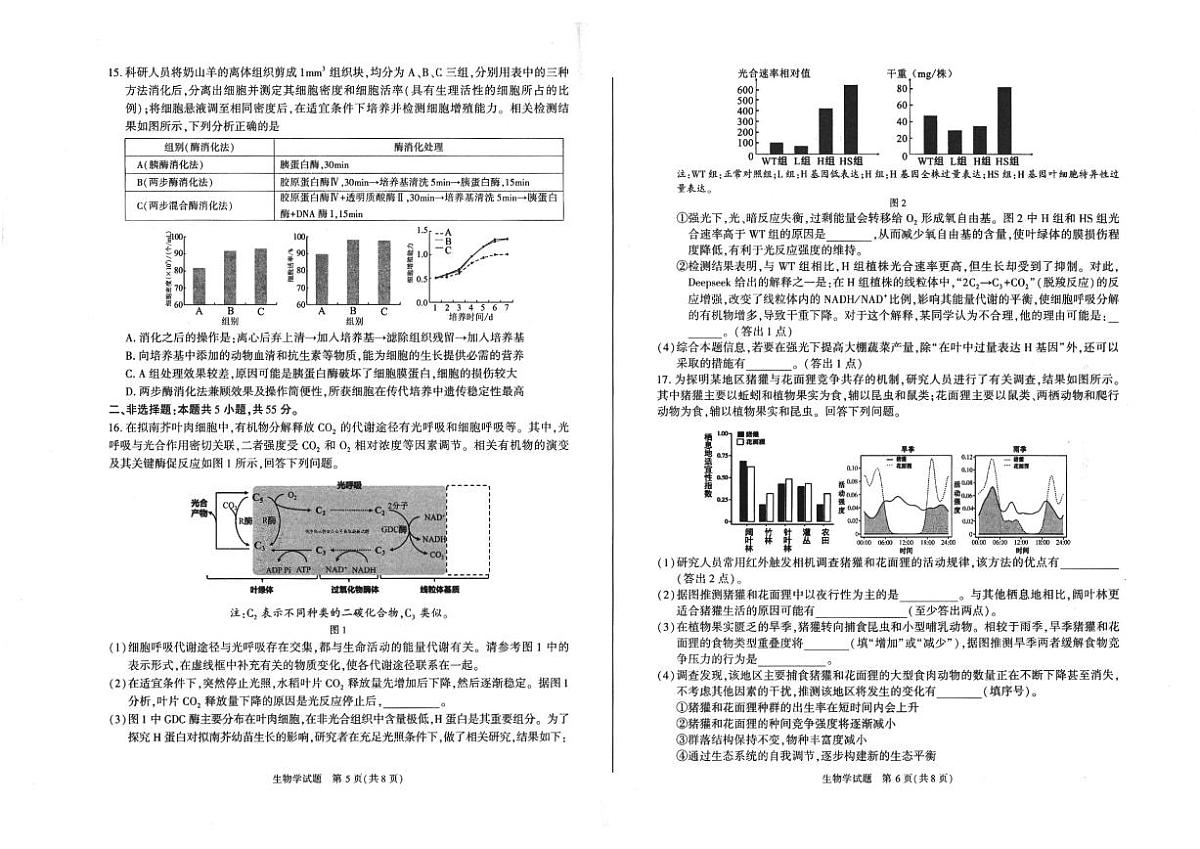 安徽省合肥市2025届高三第二次教学质量检测 生物试卷（含答案）第3页