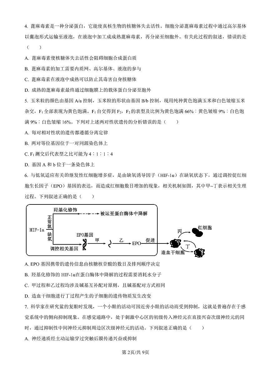 四川省乐山市第一中学校高2022级高三二模测试生物试卷（含答案）第2页