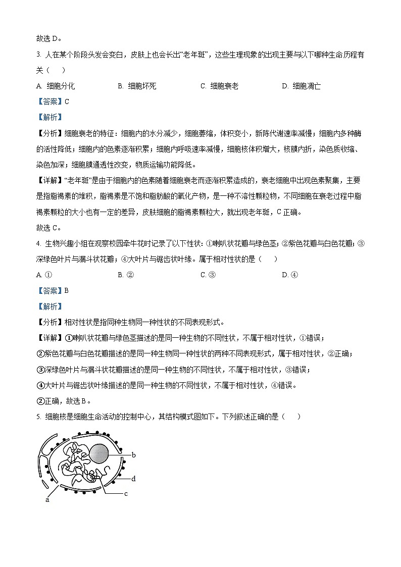 浙江省强基联盟2024-2025学年高一下学期3月月考生物试题  Word版含解析第2页