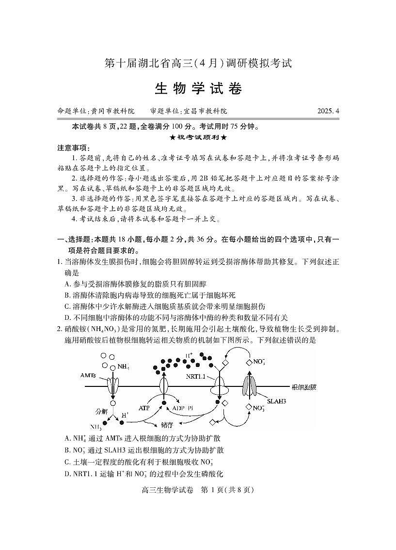 湖北省2025届高三（4月）调研模拟考试生物第1页