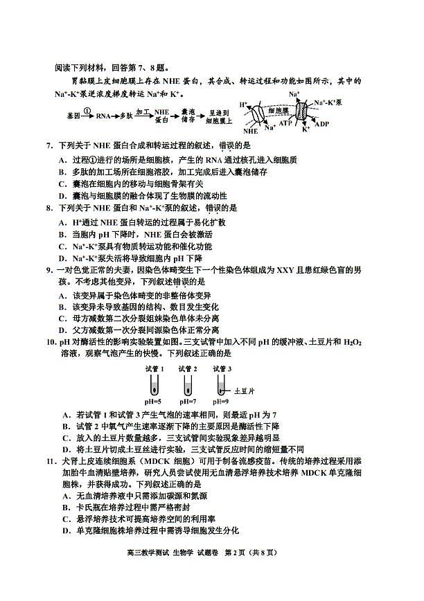 浙江省嘉兴市2025届高三下学期4月教学测试生物+答案第2页