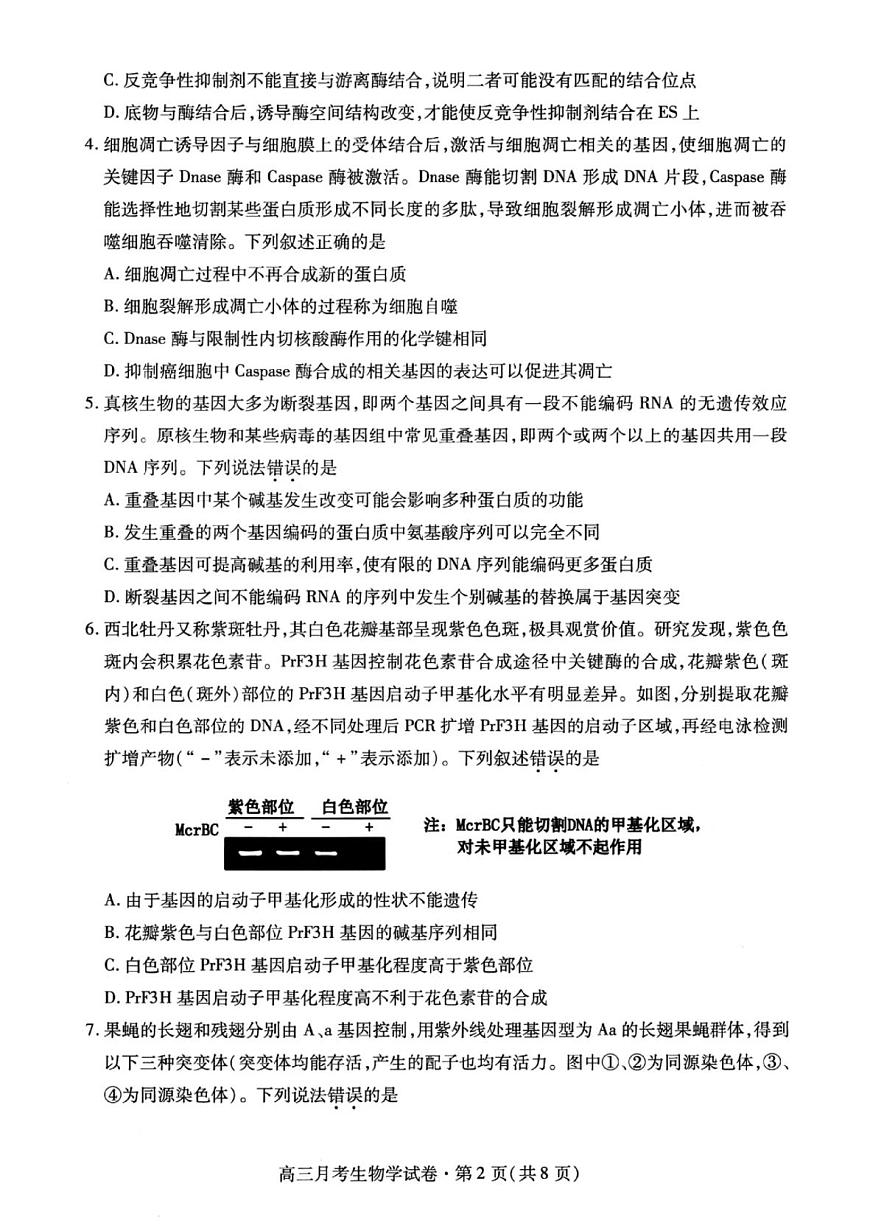 甘肃省2025年高三4月联考试卷生物+答案第2页
