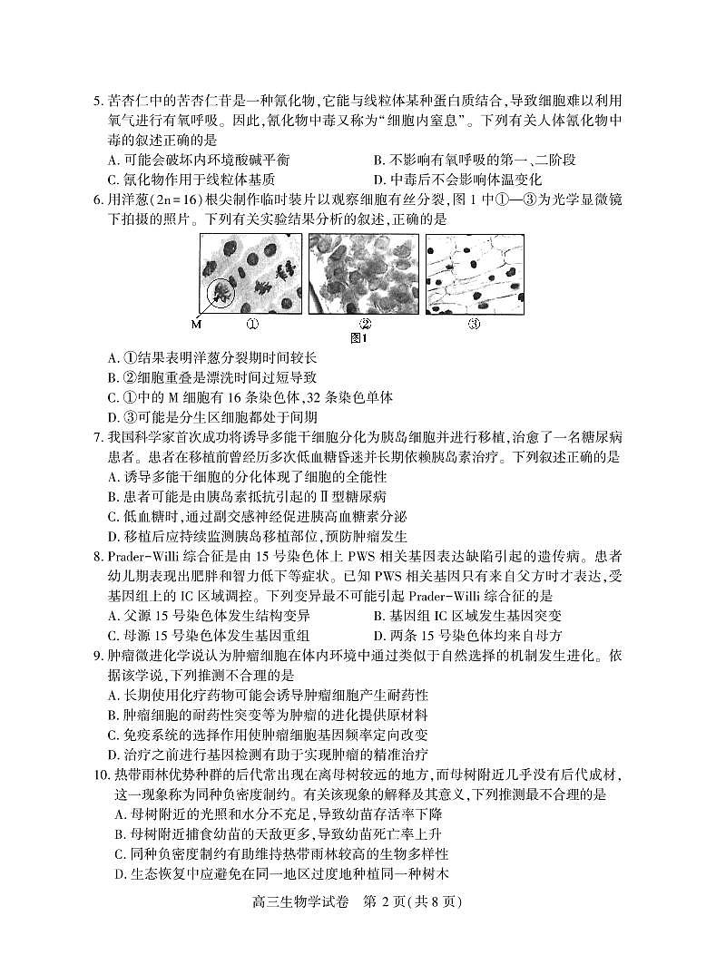2025湖北省七市州高三3月联合统一调研测试生物试卷（含答案）第2页