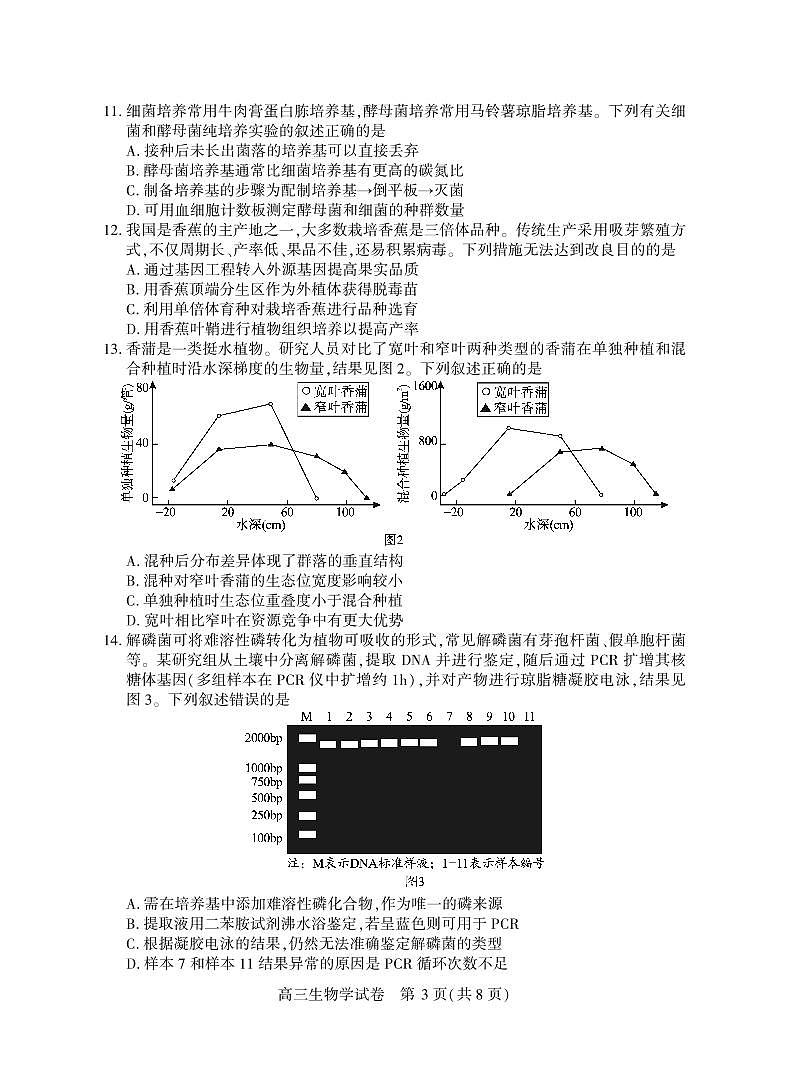 2025湖北省七市州高三3月联合统一调研测试生物试卷（含答案）第3页