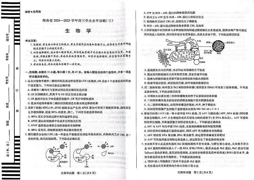 海南省天一大联考2024-2025学年高三学业水平诊断（三）生物试卷（含答案）第1页