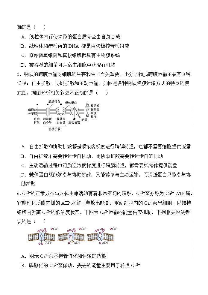 2025届陕西省西安中学高三11月第二次调研考-生物试题（含答案）第2页
