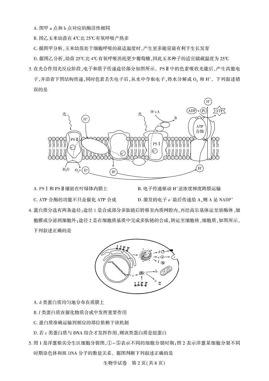 湖北省圆创高中名校联盟2025届高三第三次联合测评生物试卷（含答案）第2页