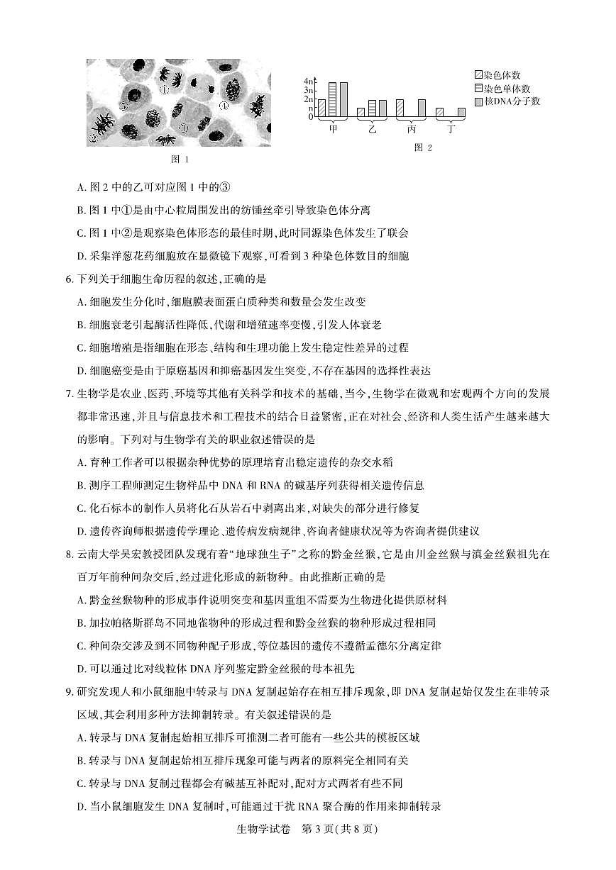 湖北省圆创高中名校联盟2025届高三第三次联合测评生物试卷（含答案）第3页