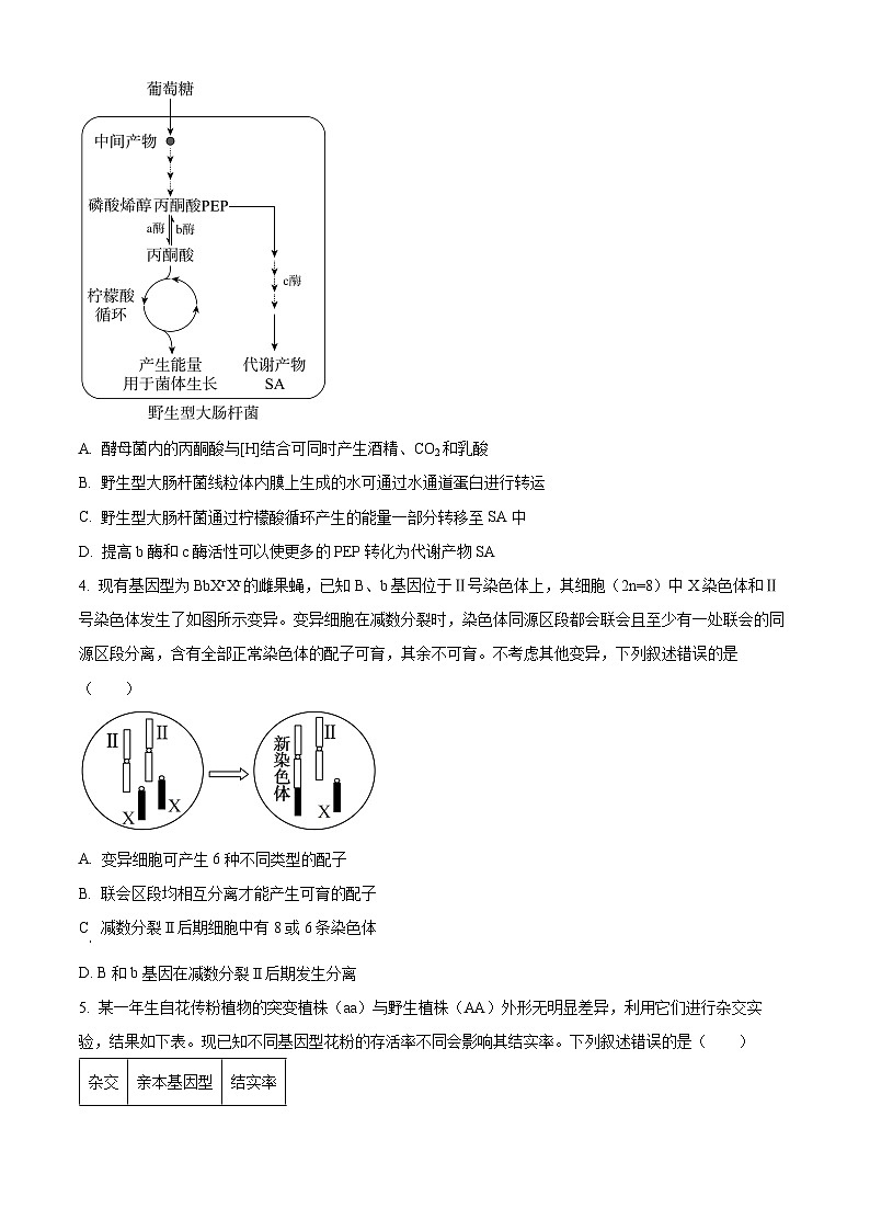 2025届河北省承德市高三下学期3月模拟预测生物试题（原卷版+解析版）第2页