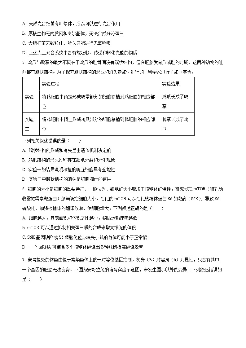 2025届河南省部分重点中学高三下学期3月联合测评生物试卷（原卷版+解析版）第2页