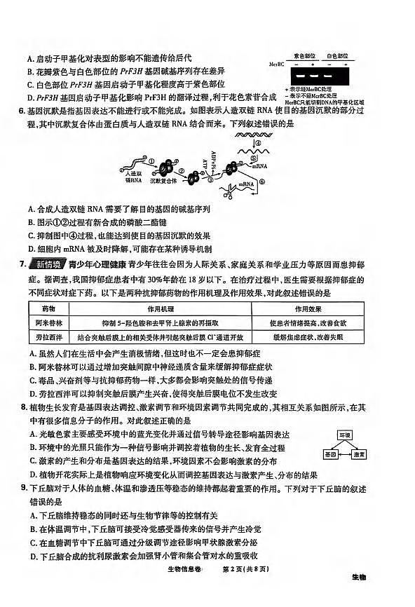 生物丨2025届东北地区高考名师名校联席命制信息卷生物试卷及答案第2页