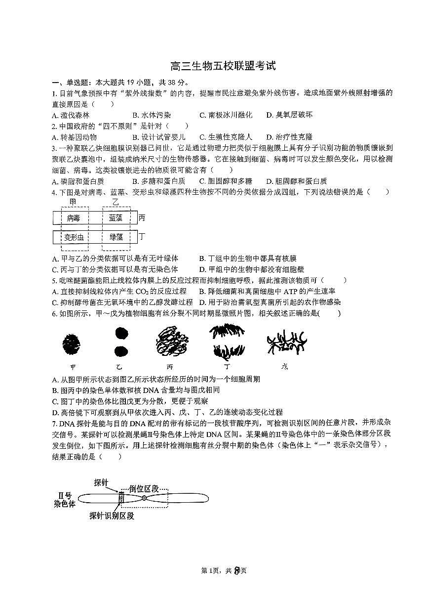 2024年浙江省五校联盟高三3月联考-生物试卷（含答案）第1页