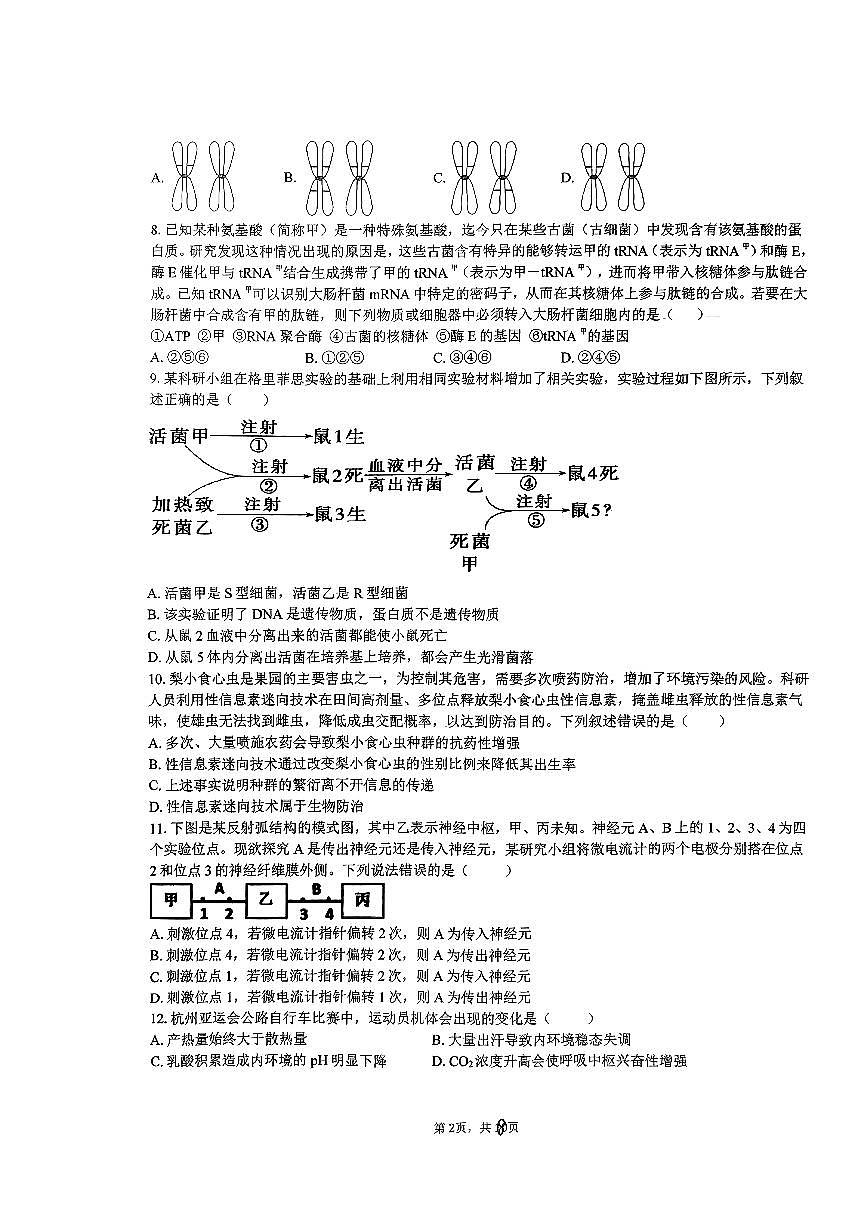 2024年浙江省五校联盟高三3月联考-生物试卷（含答案）第2页
