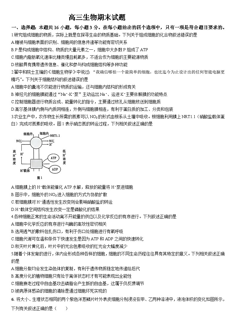 2025吉林通化梅河口第五中学高三1月期末考试 生物试卷（含答案）第1页
