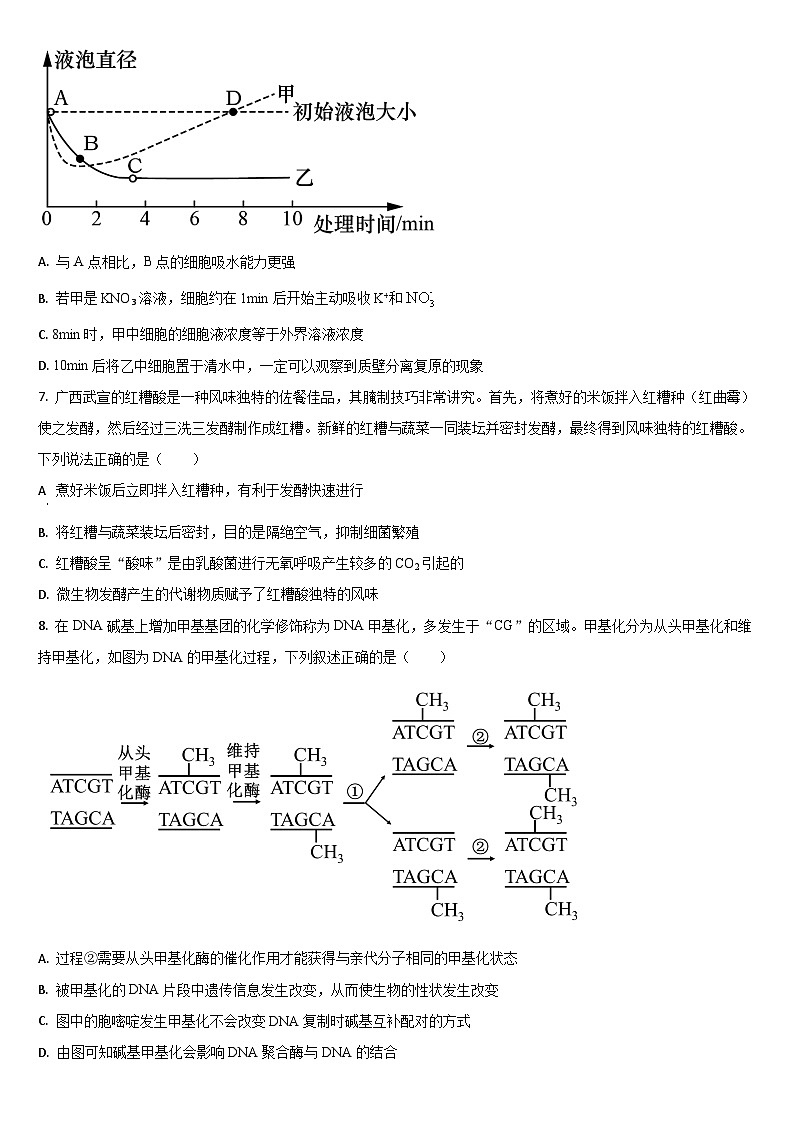 2025吉林通化梅河口第五中学高三1月期末考试 生物试卷（含答案）第2页