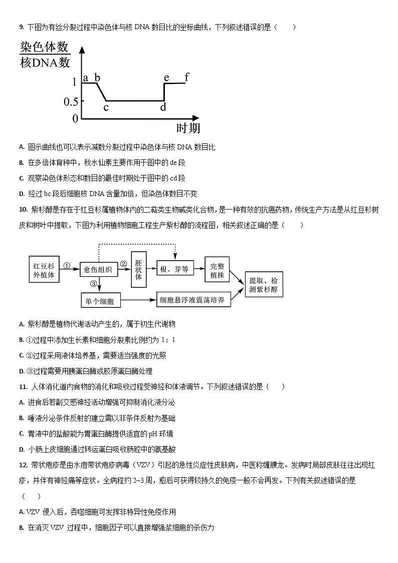 2025吉林通化梅河口第五中学高三1月期末考试 生物试卷（含答案）第3页